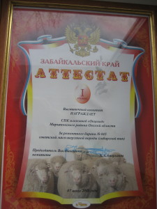 04 (2)