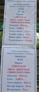 IMG_0433